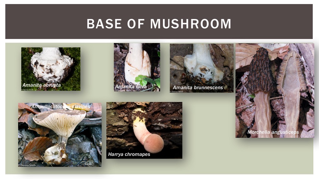 Slide13