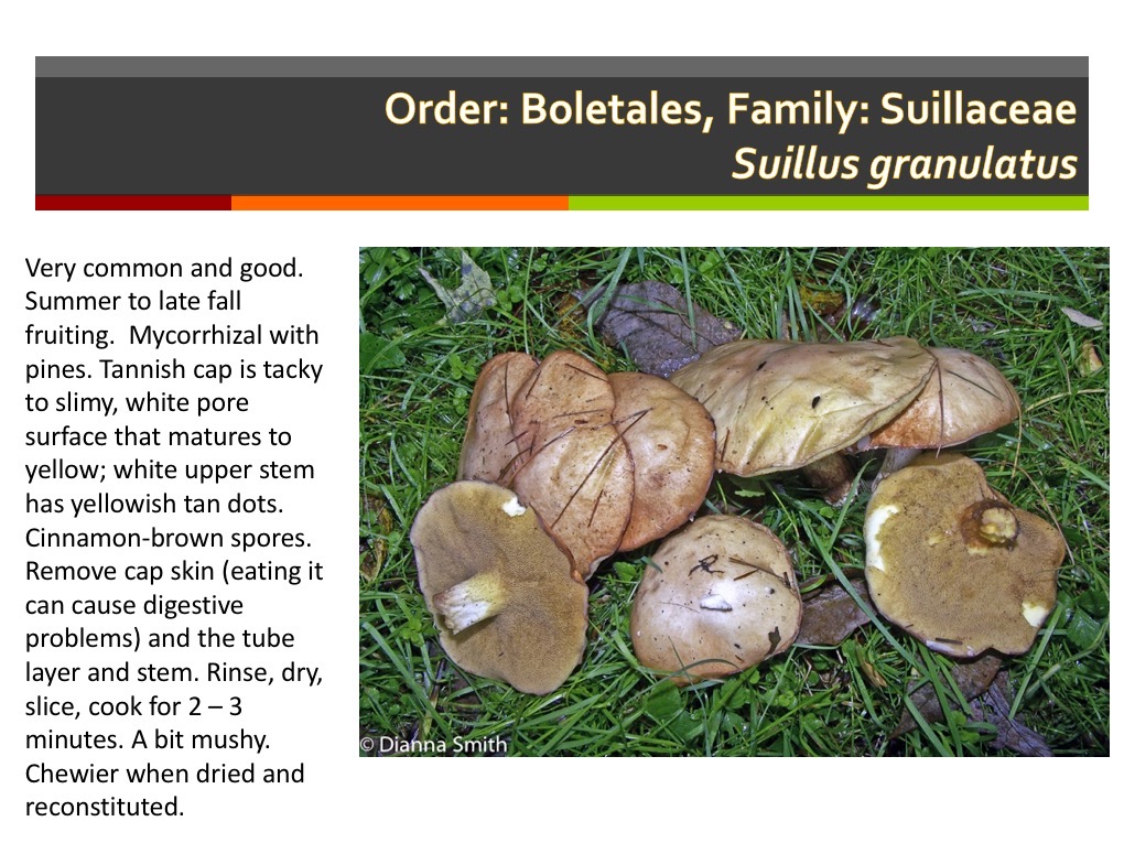 Slide133
