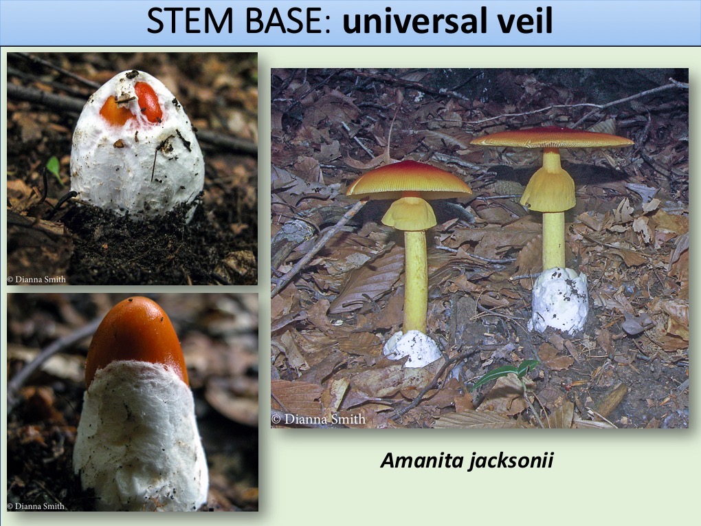 Slide133