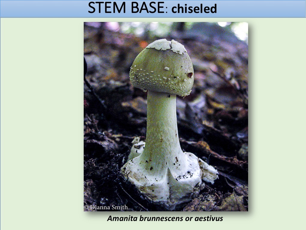 Slide134