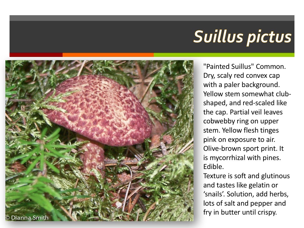Slide135