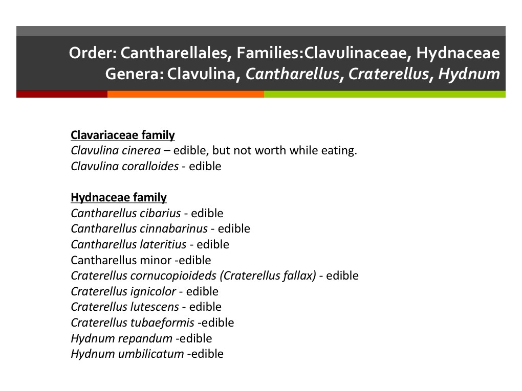Slide137