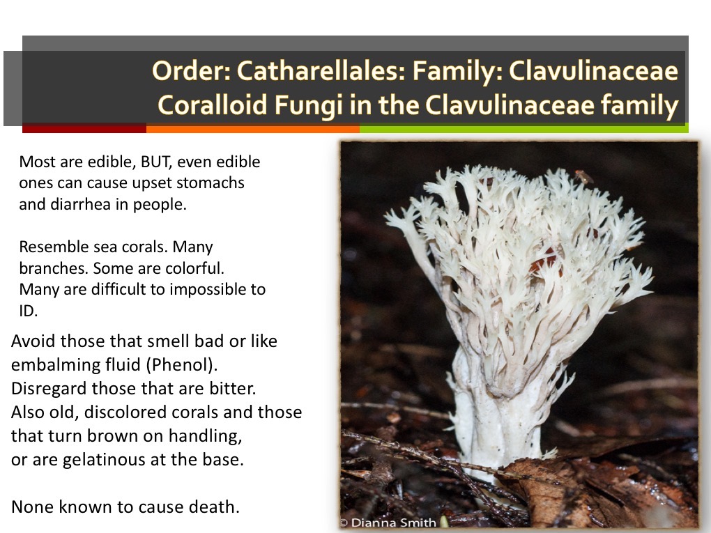 Slide138