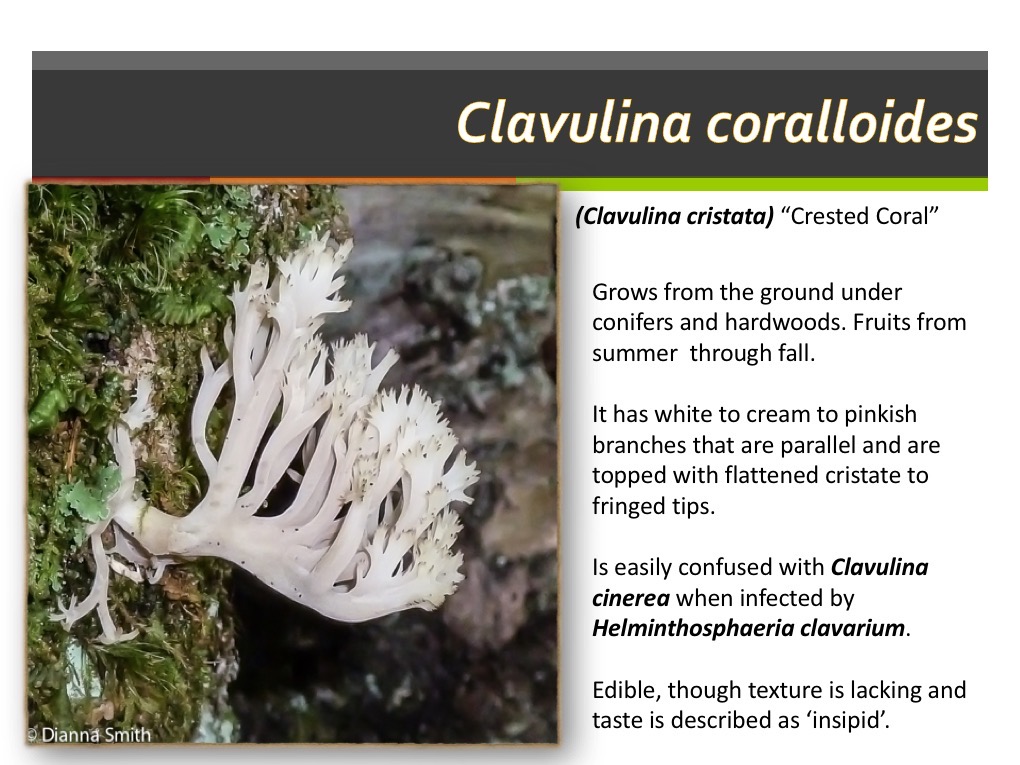 Slide139