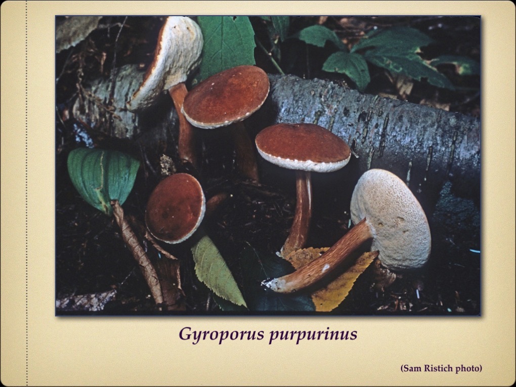 Slide14