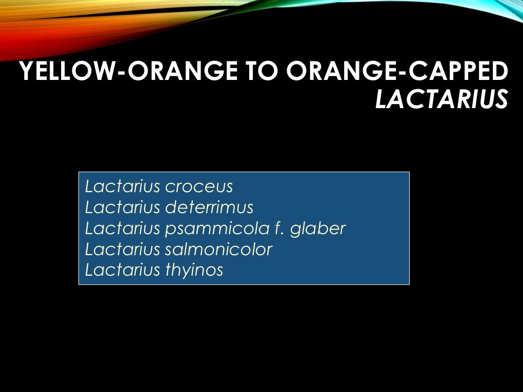 Slide14