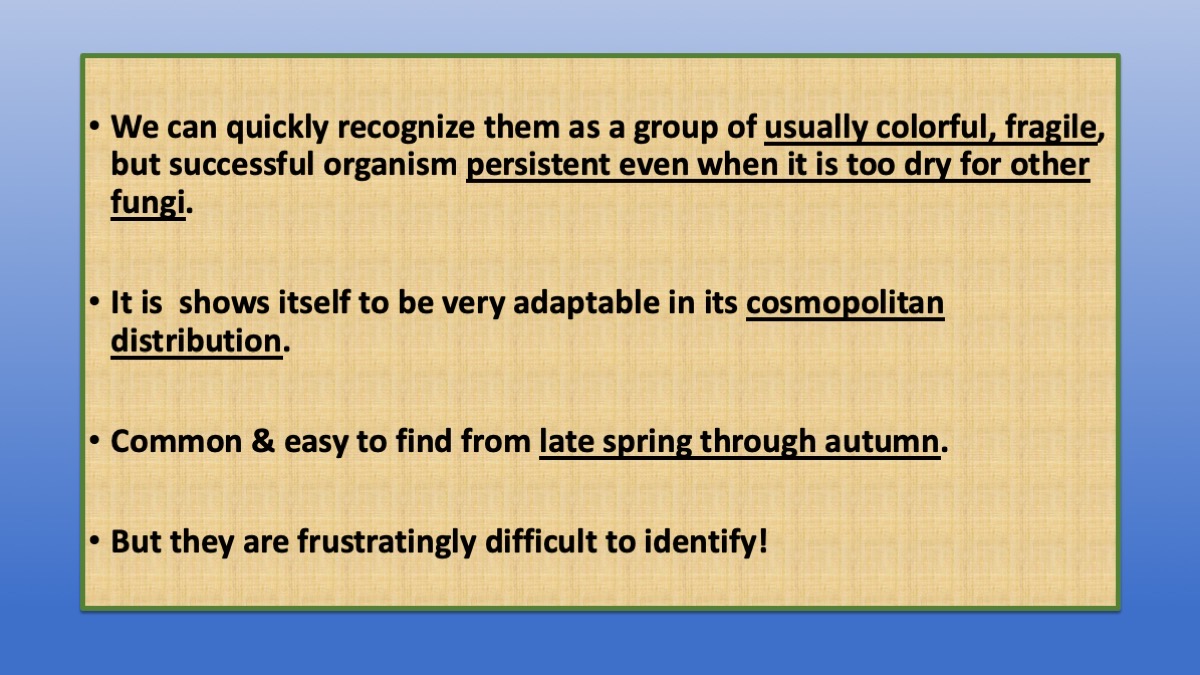 Slide14