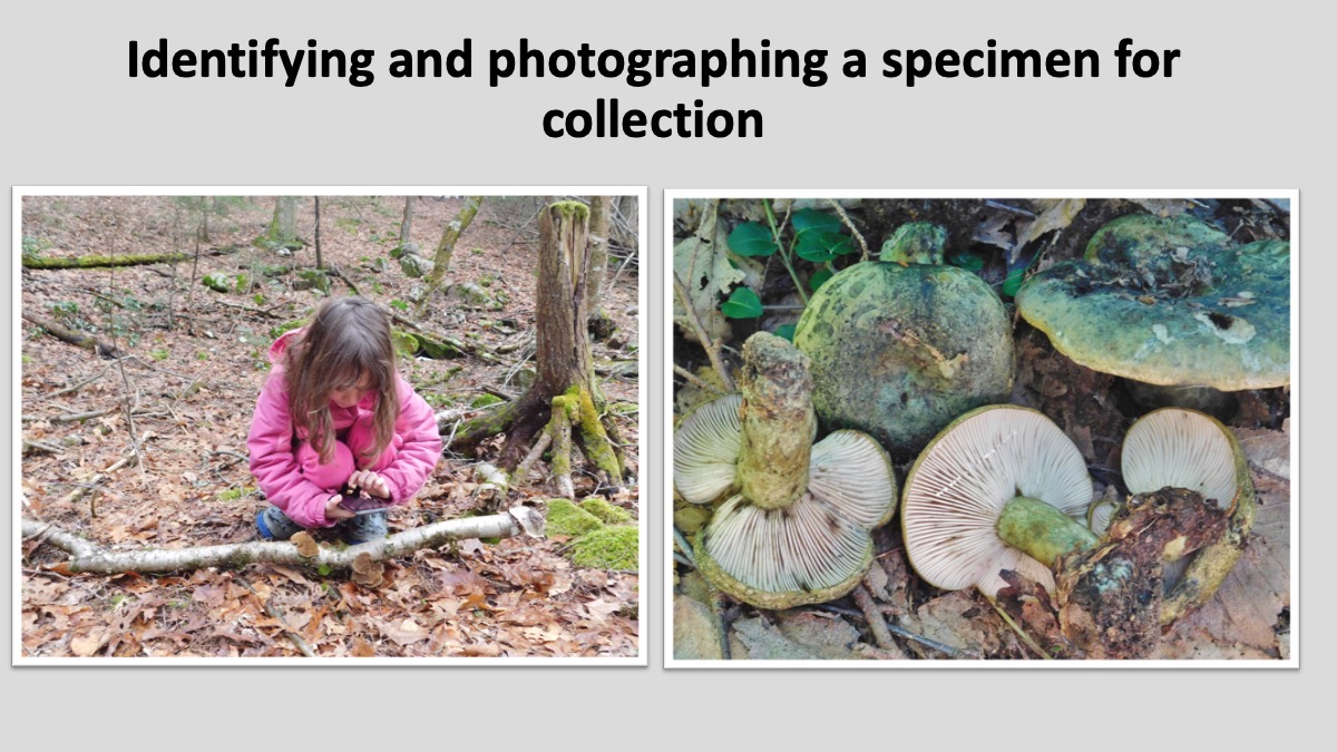 Slide14