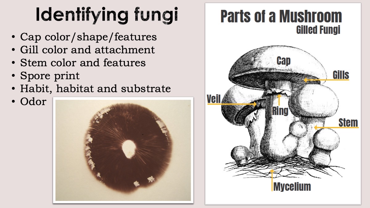 Slide14