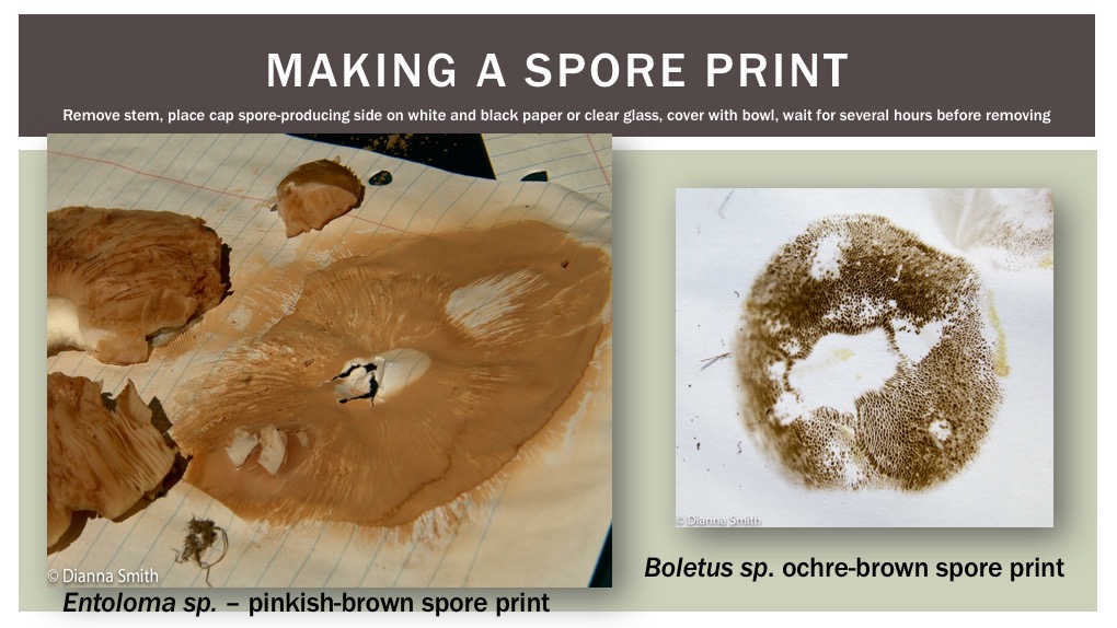 Slide14