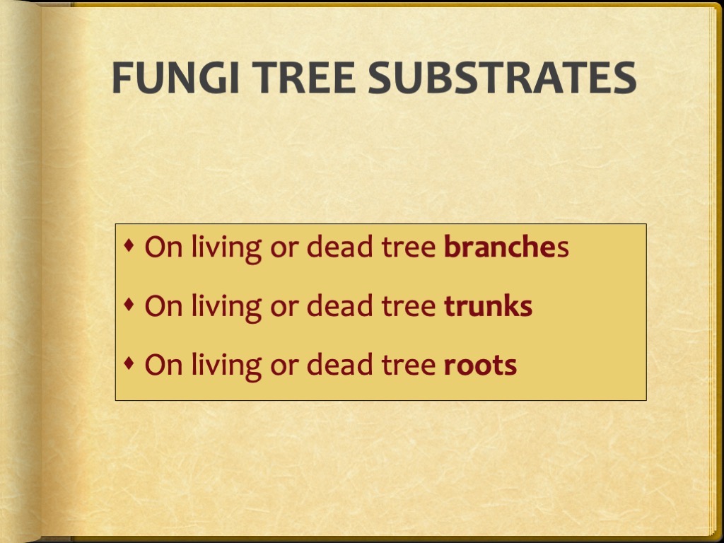 Slide14