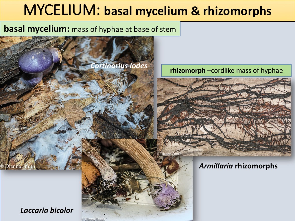 Slide140