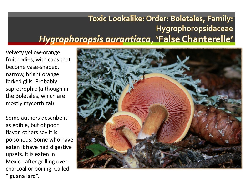 Slide142
