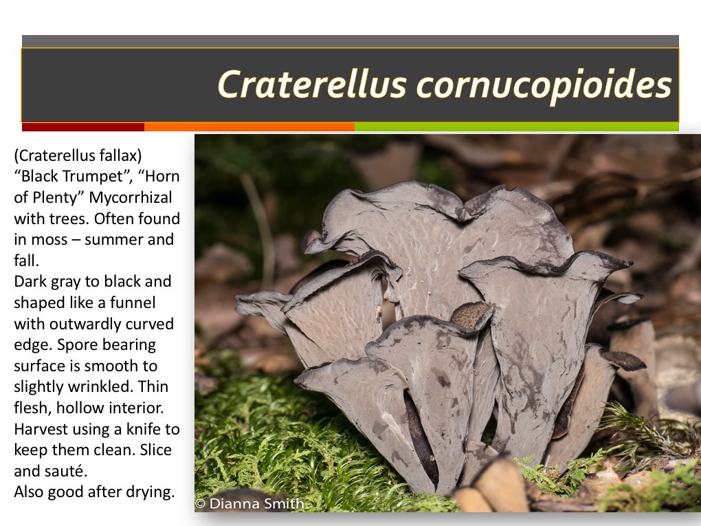 Slide144
