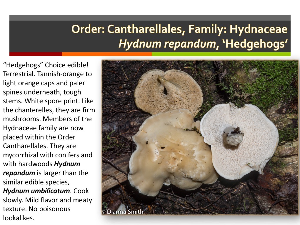 Slide146