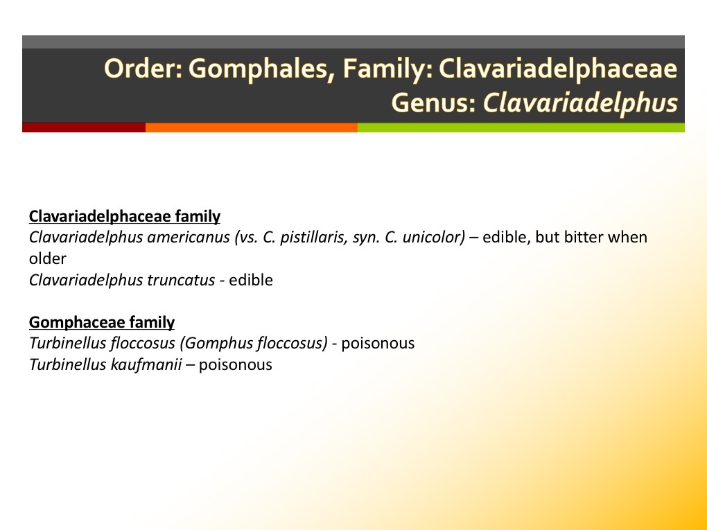 Slide147