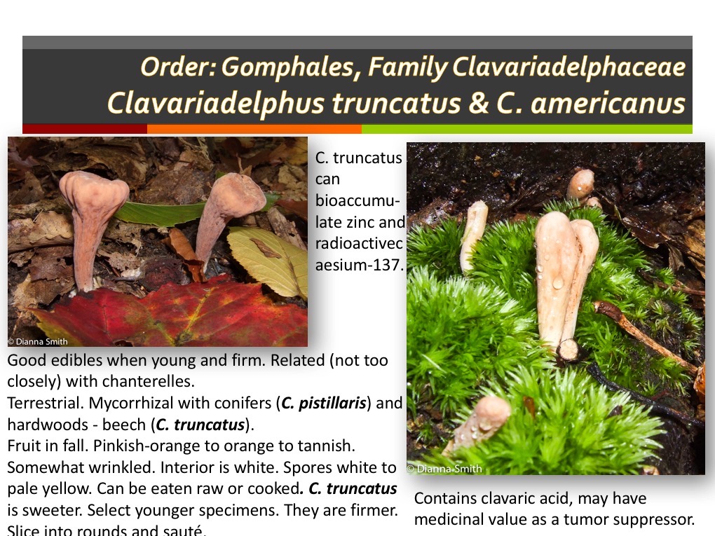 Slide148