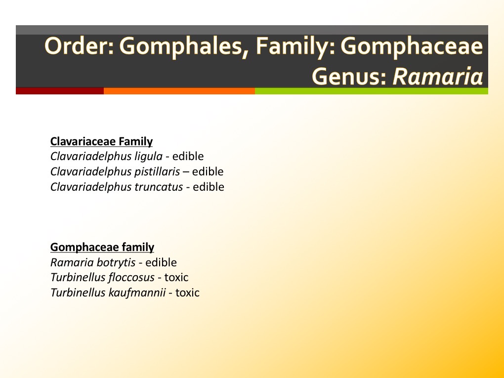 Slide149