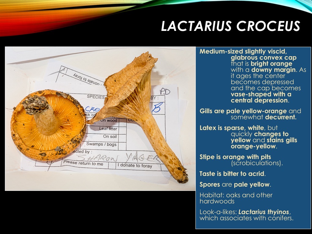 Slide15