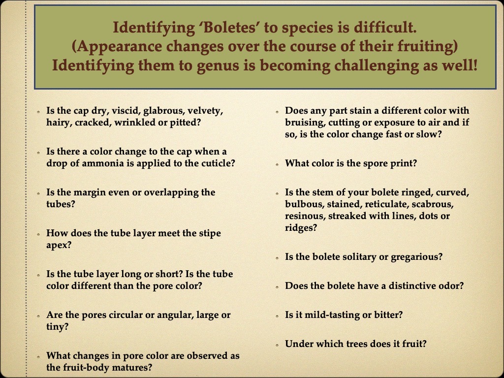 Slide15