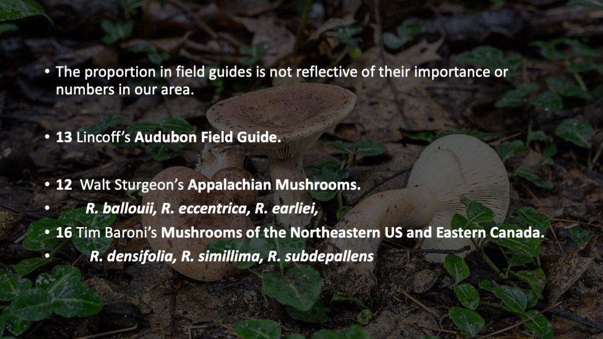 Slide15