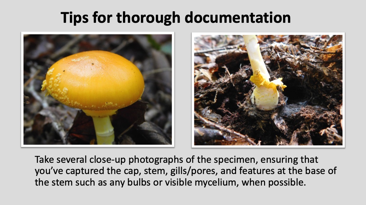 Slide15
