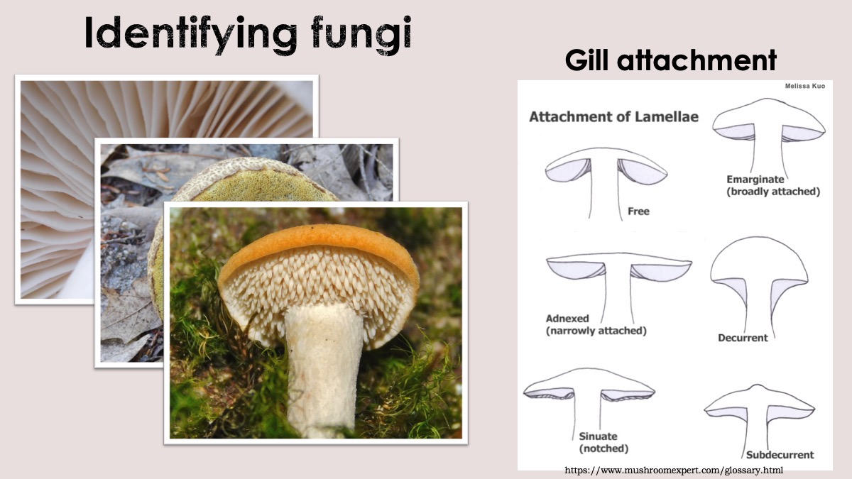 Slide15
