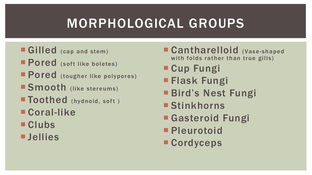 Slide15