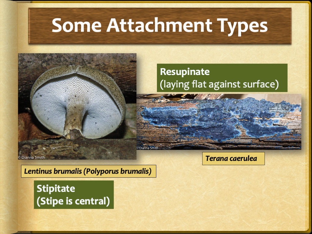 Slide15