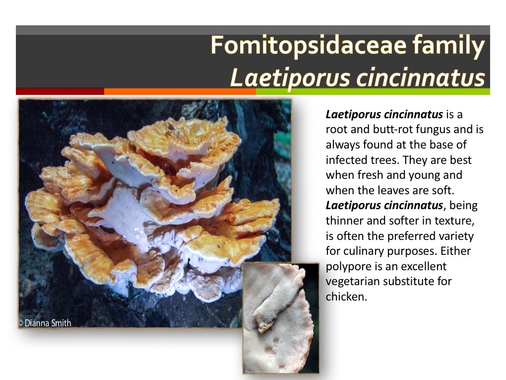 Slide154