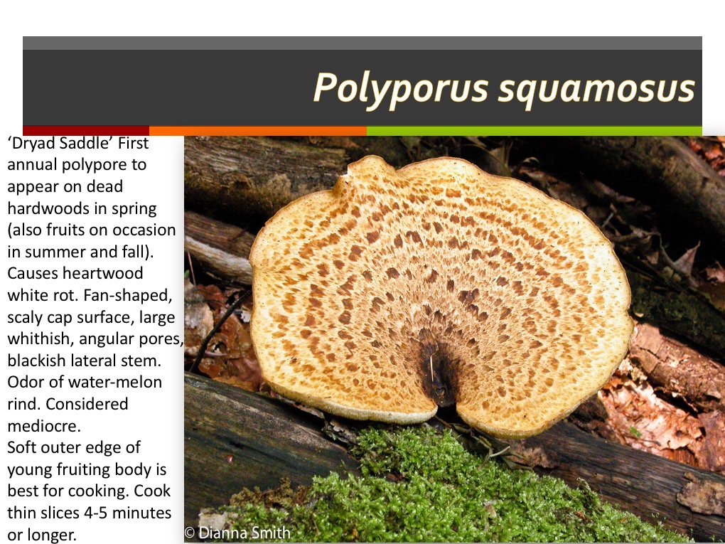Slide158
