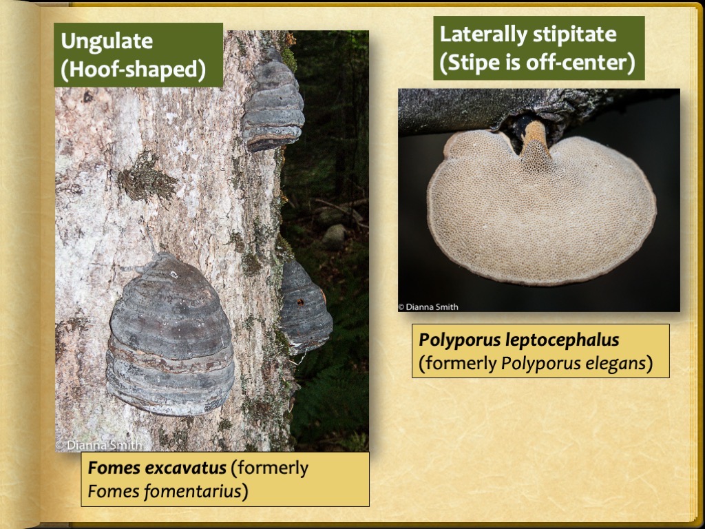 Slide16