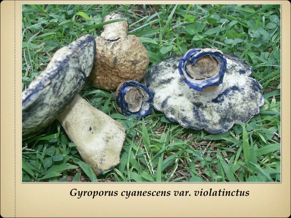 Slide16