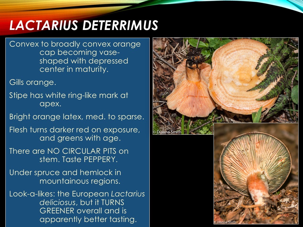 Slide16