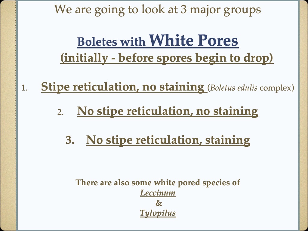 Slide16