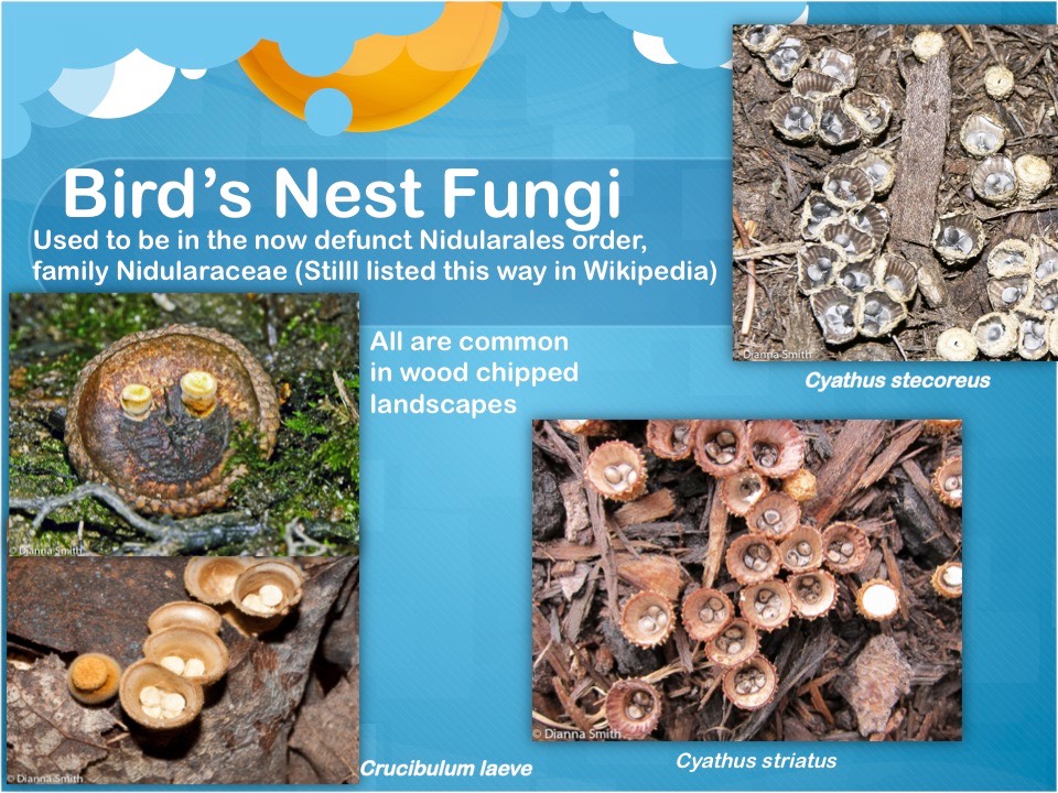 Slide16