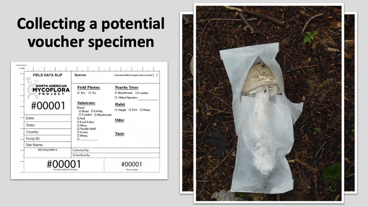 Slide16