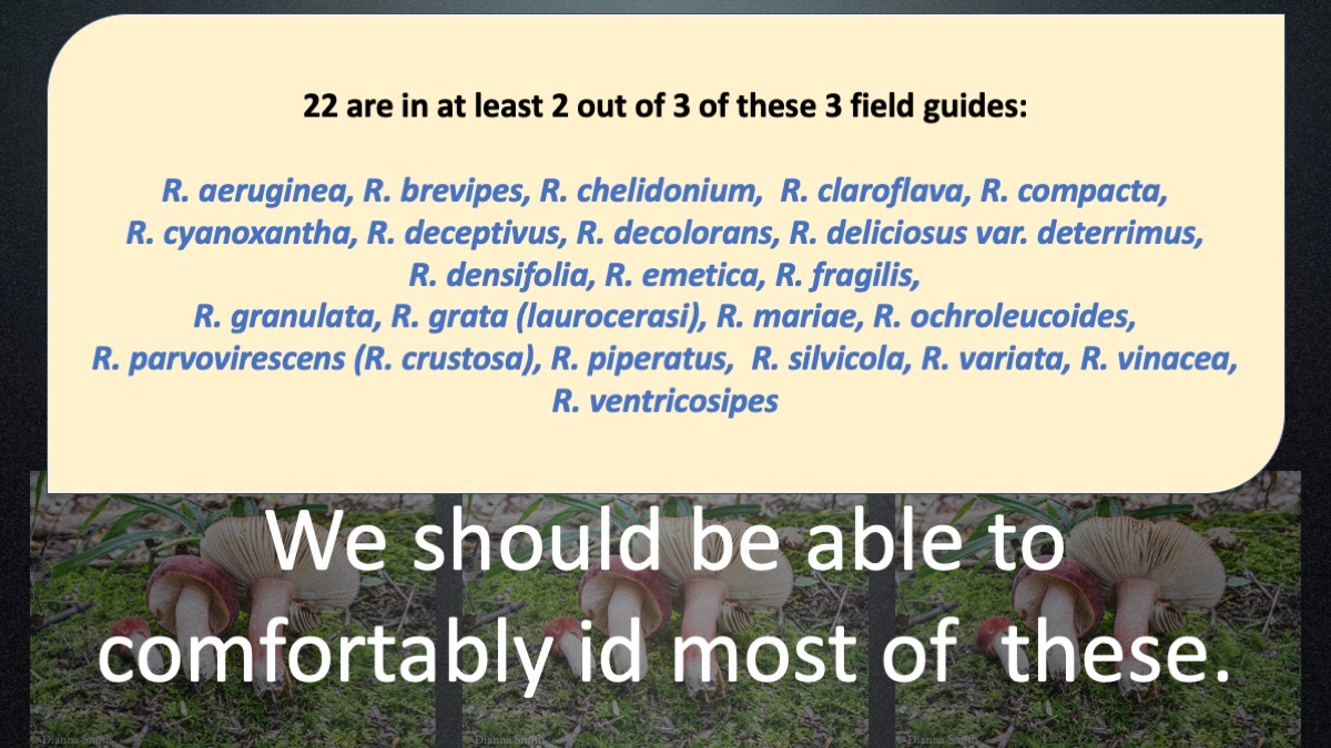Slide16