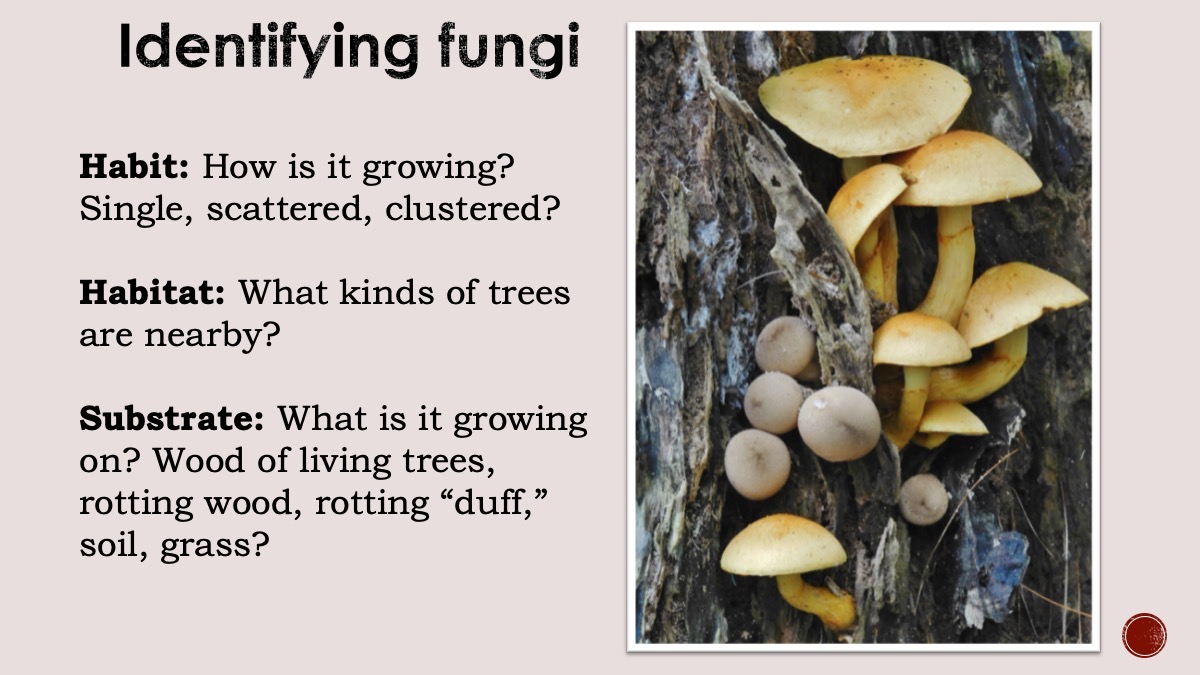 Slide16