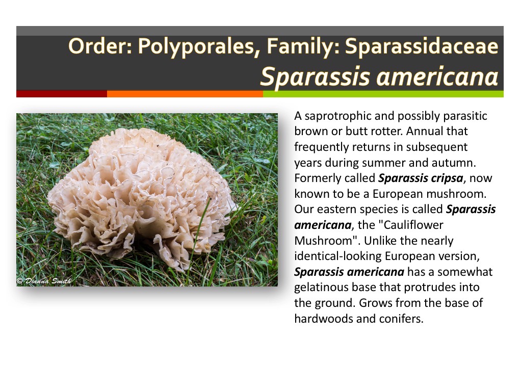 Slide160
