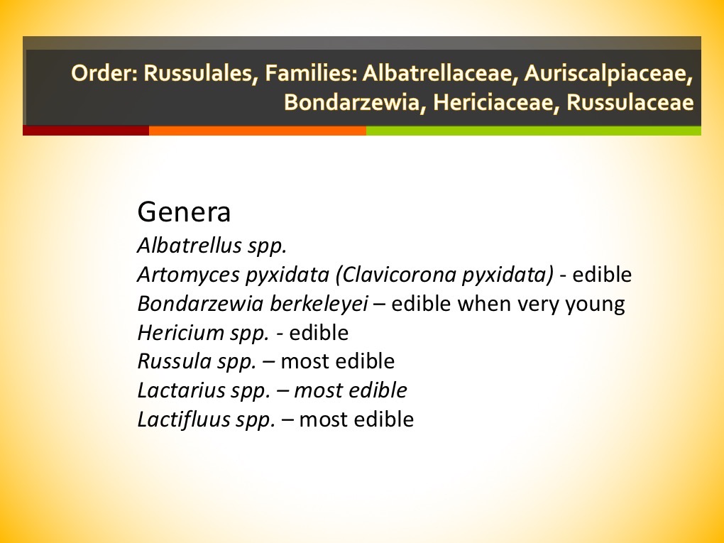 Slide161