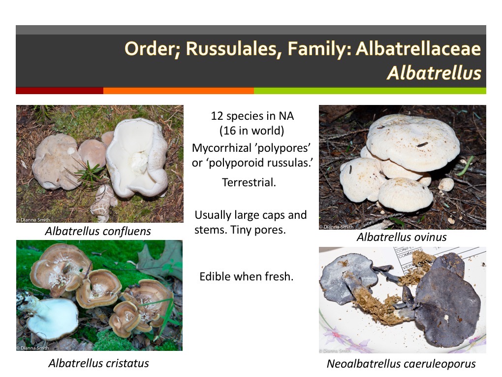 Slide162