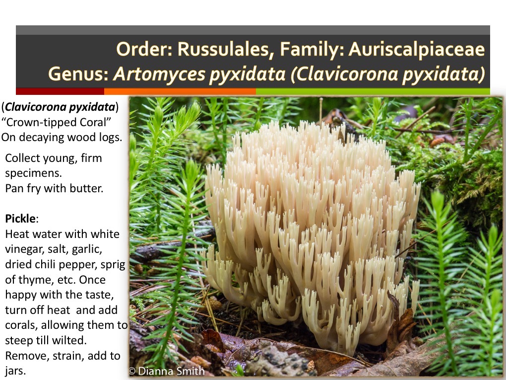 Slide163