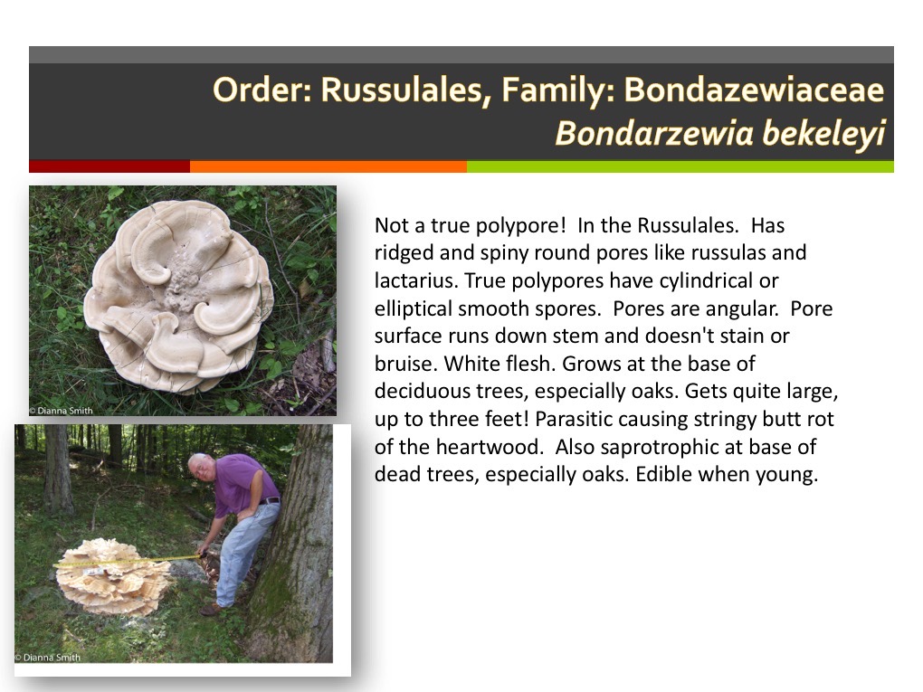 Slide165