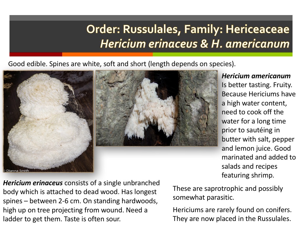 Slide166