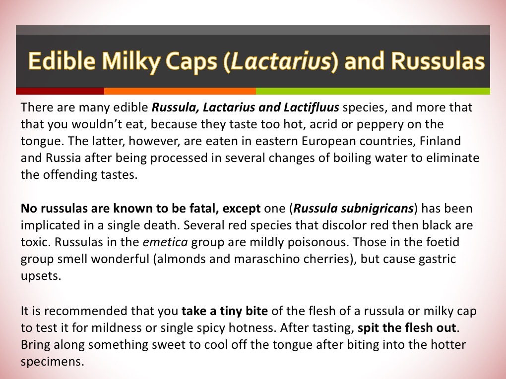 Slide168