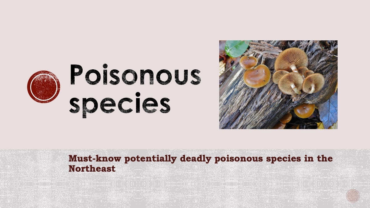Slide17