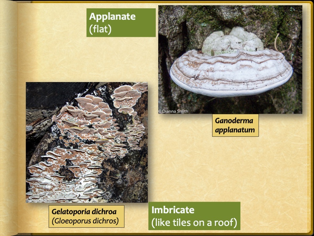 Slide17