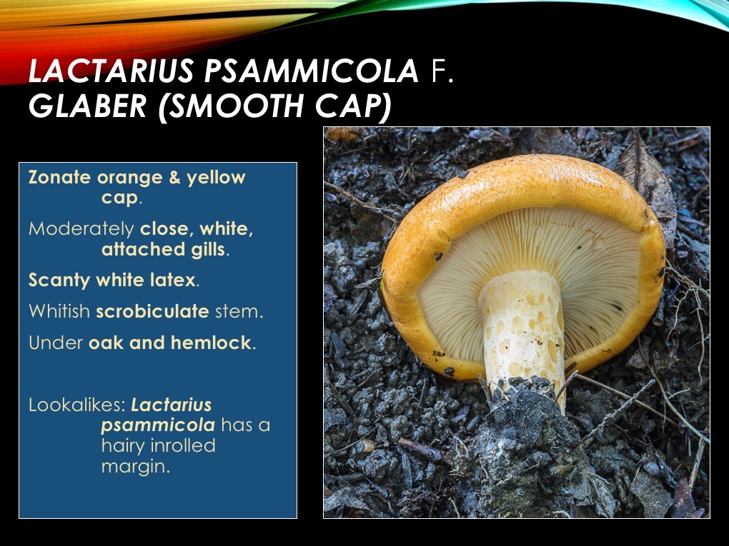 Slide17