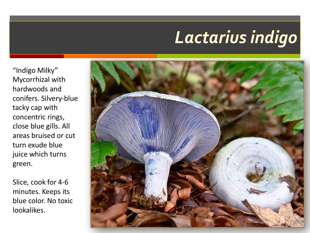 Slide170